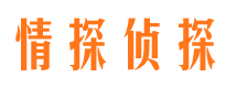 奎文侦探公司